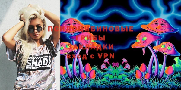 mix Туринск