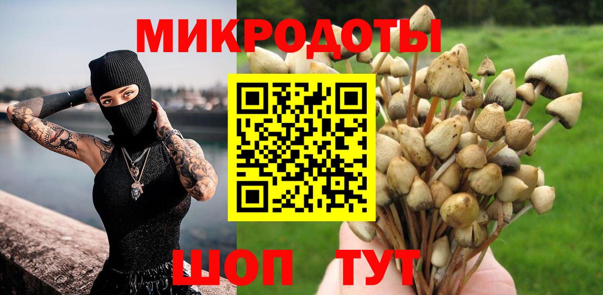 Псилоцибиновые грибы мухоморы Владивосток