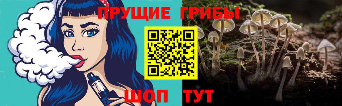 Галлюциногенные грибы Psilocybe  Вход с VPN  Галлюциногенные грибы Psilocybe  Владивосток 